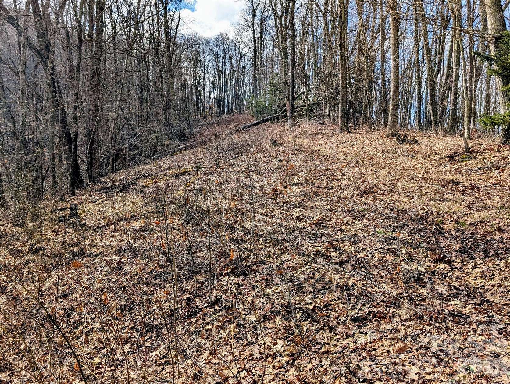 4.82 Acres of Residential Land for Sale in Waynesville, North Carolina