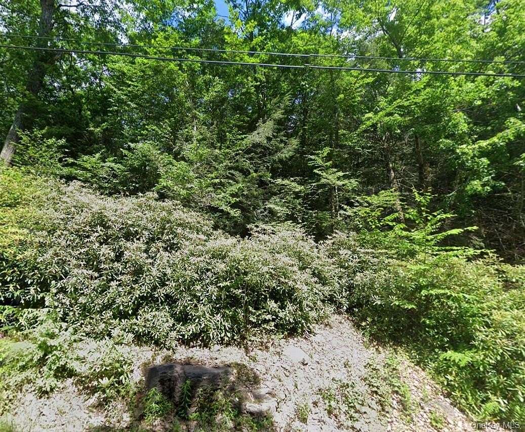 1.9 Acres of Residential Land for Sale in Fallsburg, New York