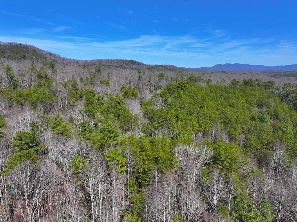 16.9 Acres of Land for Sale in Turtletown, Tennessee