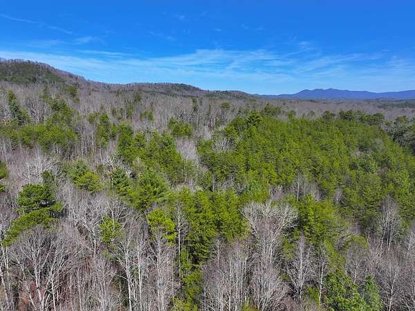 16.9 Acres of Land for Sale in Turtletown, Tennessee