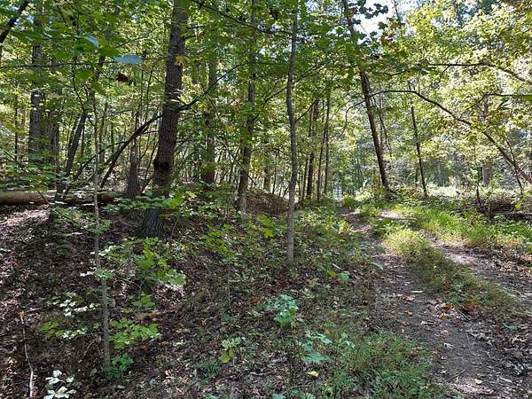 0.3 Acres of Residential Land for Sale in Spring City, Tennessee