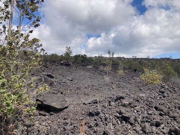 1 Acre of Residential Land for Sale in Hawaiian Ocean View, Hawaii