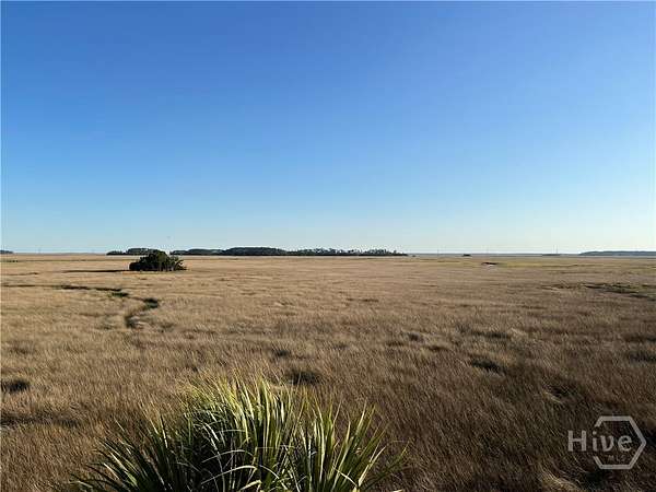 4.32 Acres of Residential Land for Sale in Savannah, Georgia