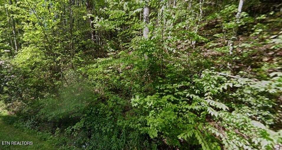 0.87 Acres of Residential Land for Sale in Gatlinburg, Tennessee