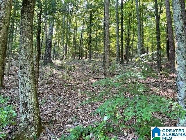 3 Acres of Residential Land for Sale in Birmingham, Alabama