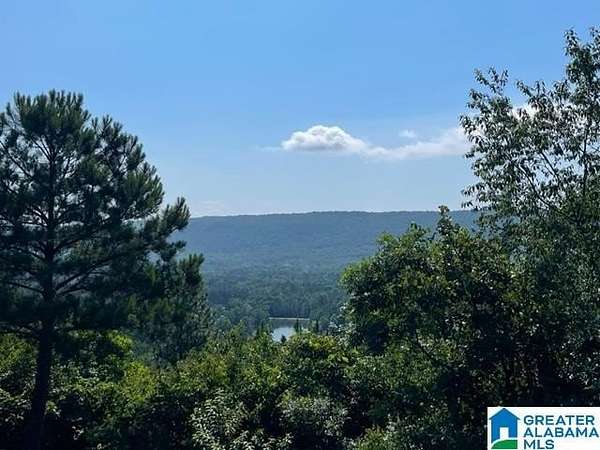 3 Acres of Residential Land for Sale in Birmingham, Alabama