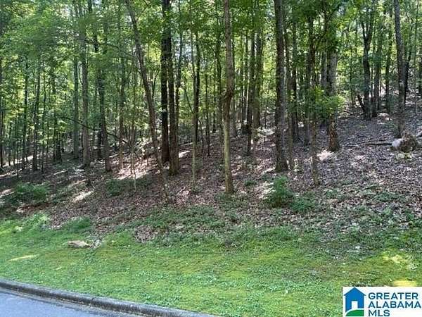 3 Acres of Residential Land for Sale in Birmingham, Alabama