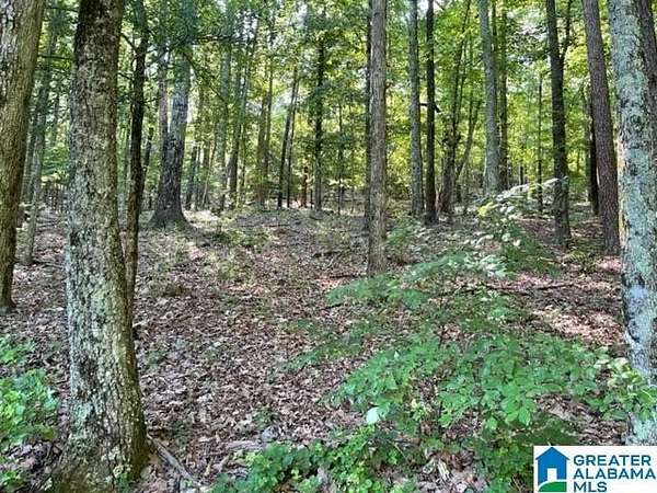 3 Acres of Residential Land for Sale in Birmingham, Alabama