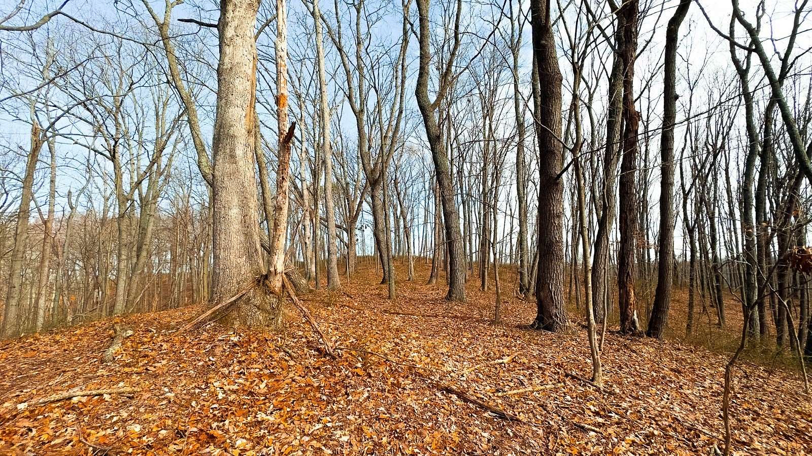 80 Acres of Recreational & Residential Land for Sale in Beaver, Ohio