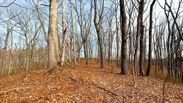 80 Acres of Recreational & Residential Land for Sale in Beaver, Ohio