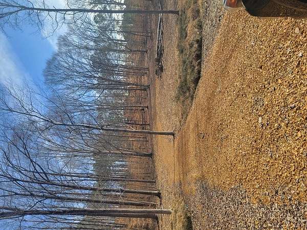 1.6 Acres of Residential Land for Sale in Buchanan, Tennessee