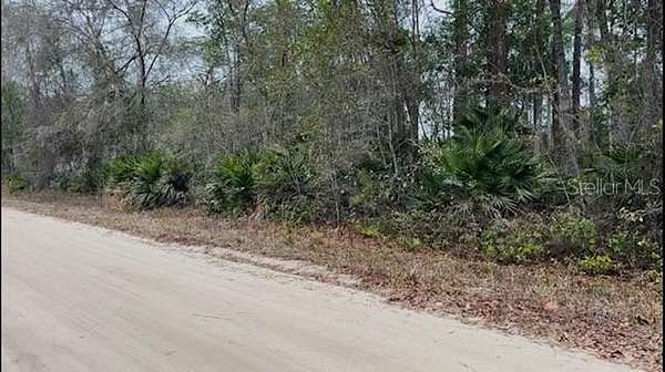0.92 Acres of Residential Land for Sale in Interlachen, Florida