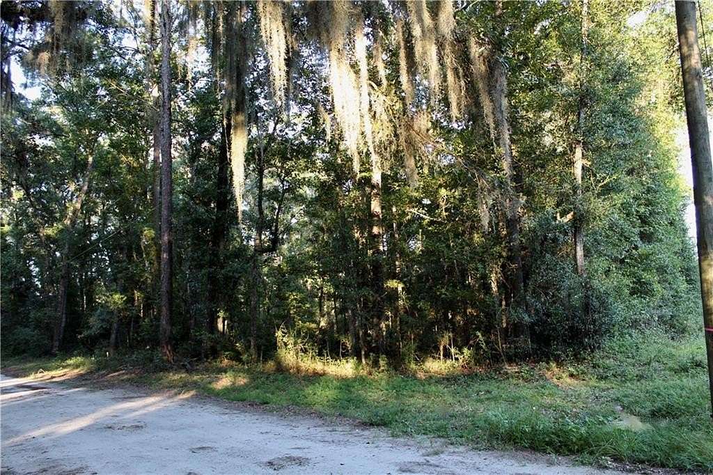 0.52 Acres of Residential Land for Sale in Townsend, Georgia