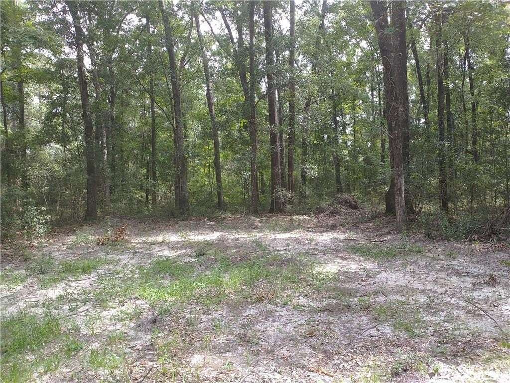 0.64 Acres of Residential Land for Sale in Townsend, Georgia