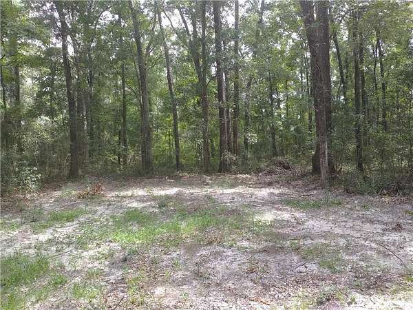 0.64 Acres of Residential Land for Sale in Townsend, Georgia