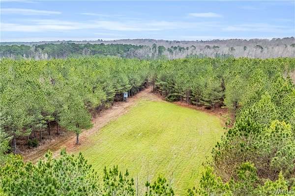 205 Acres of Recreational Land for Sale in Carrollton, Alabama