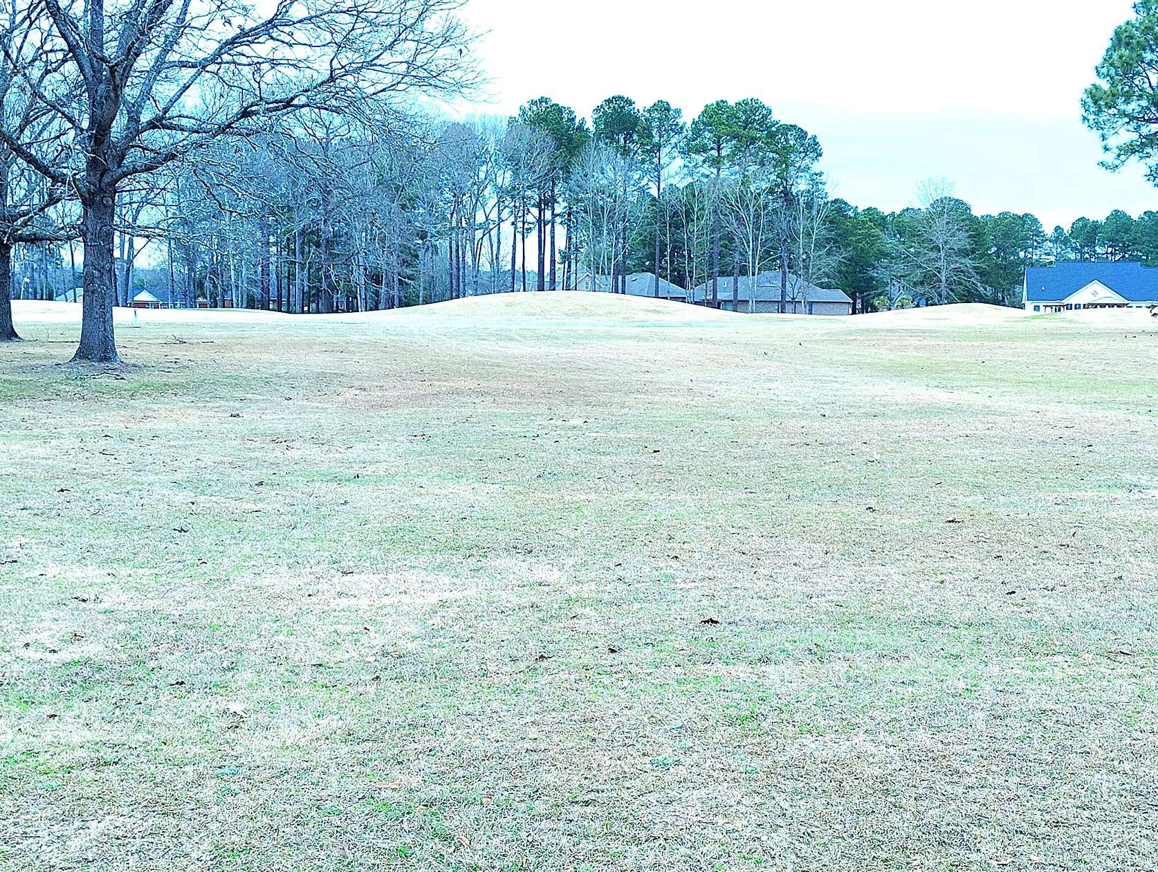 0.41 Acres of Residential Land for Sale in Manning, South Carolina