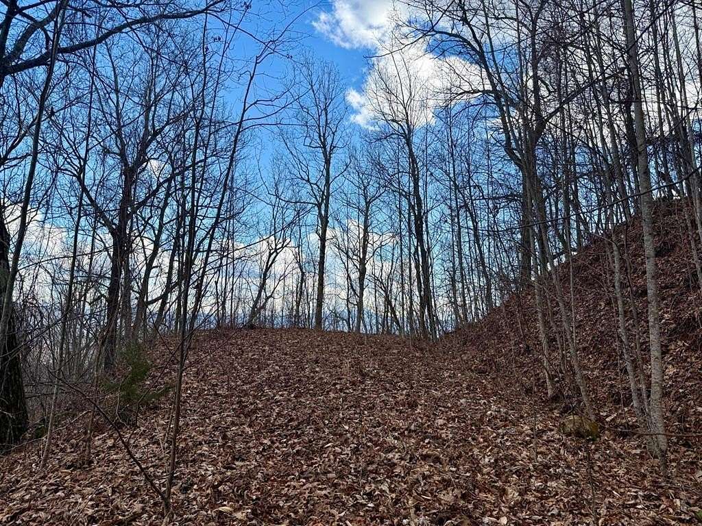 1 Acre of Residential Land for Sale in Franklin, North Carolina