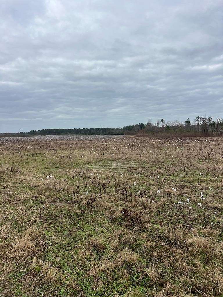 411 Acres of Land for Sale in Fitzgerald, Georgia