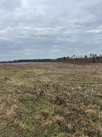 411 Acres of Agricultural Land for Sale in Fitzgerald, Georgia
