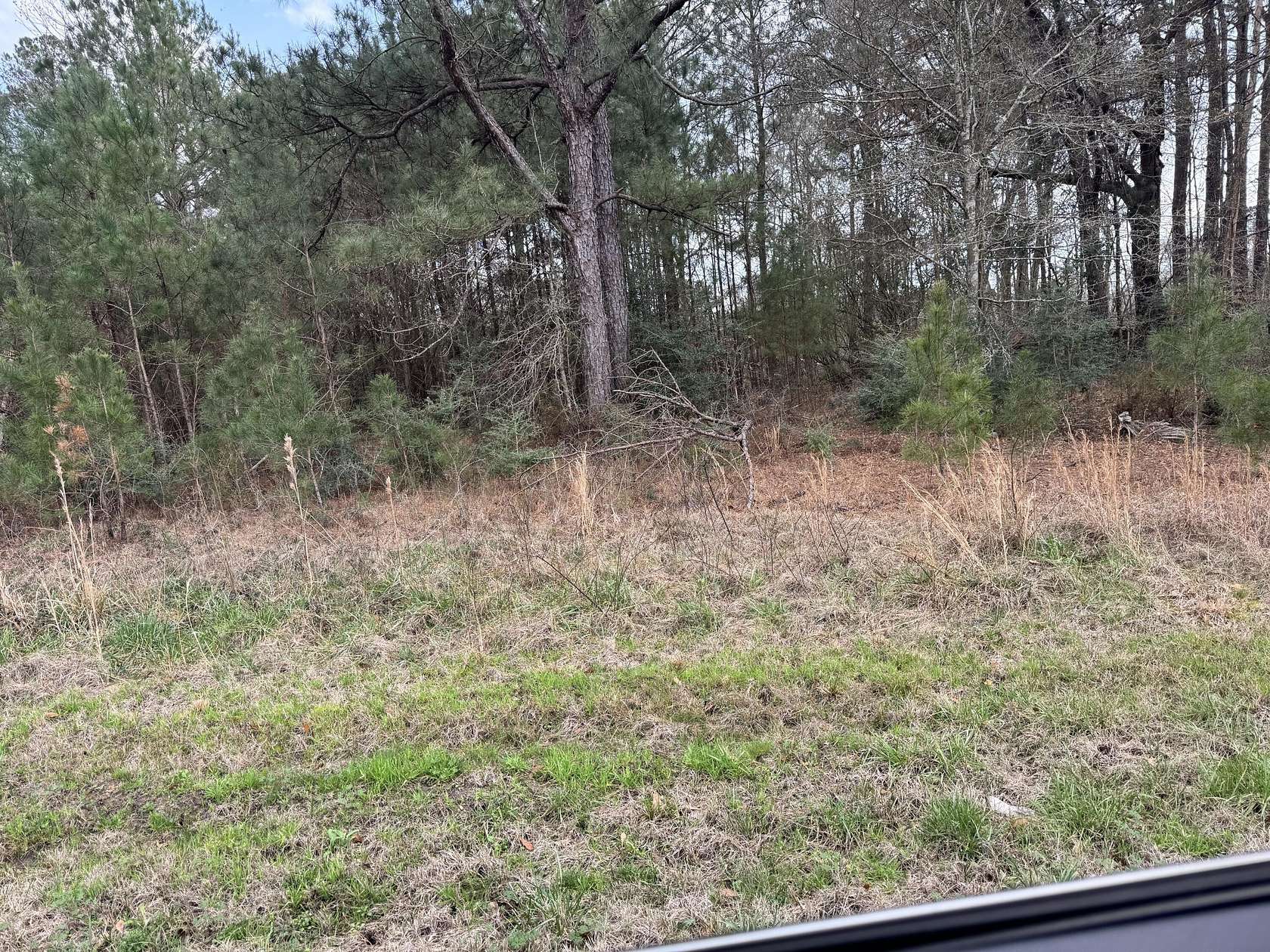 Residential Land for Sale in Sumrall, Mississippi