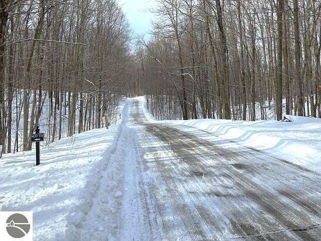 0.41 Acres of Land for Sale in Bellaire, Michigan