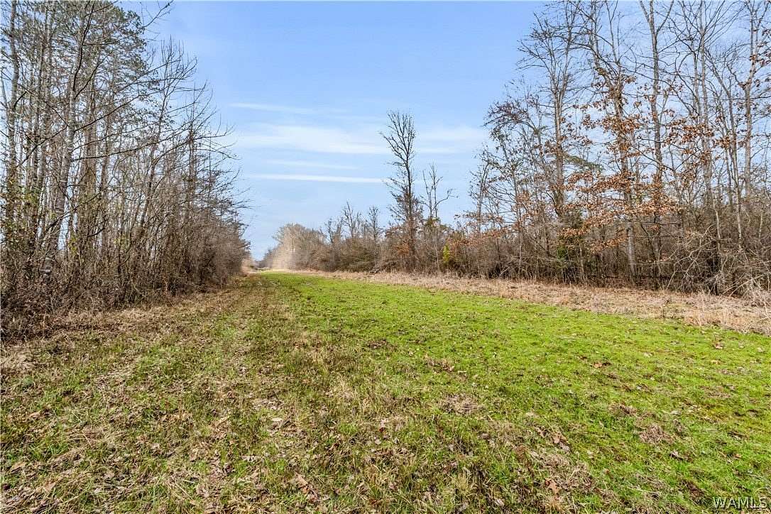 320 Acres of Recreational Land for Sale in Carrollton, Alabama