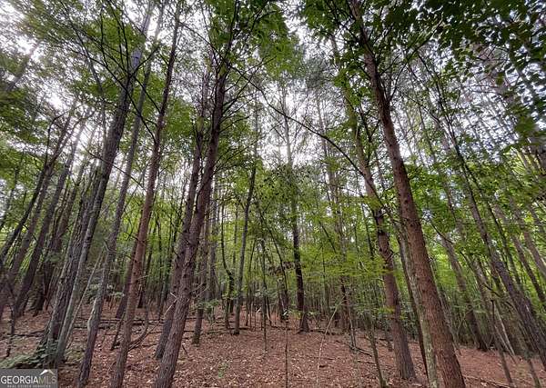 32 Acres of Land for Sale in LaFayette, Georgia