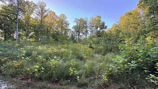 0.88 Acres of Residential Land for Sale in Rockville, Indiana