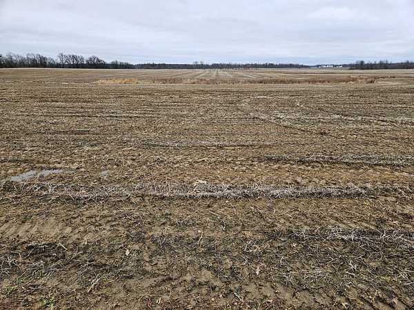 61.5 Acres of Agricultural Land for Sale in Bellevue, Ohio
