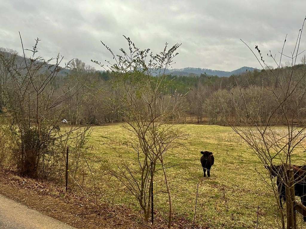 23 Acres of Land for Sale in Turtletown, Tennessee