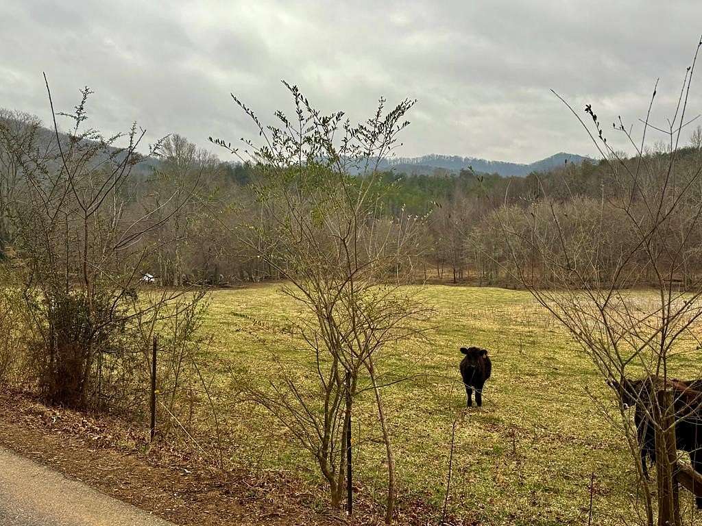 23 Acres of Land for Sale in Turtletown, Tennessee