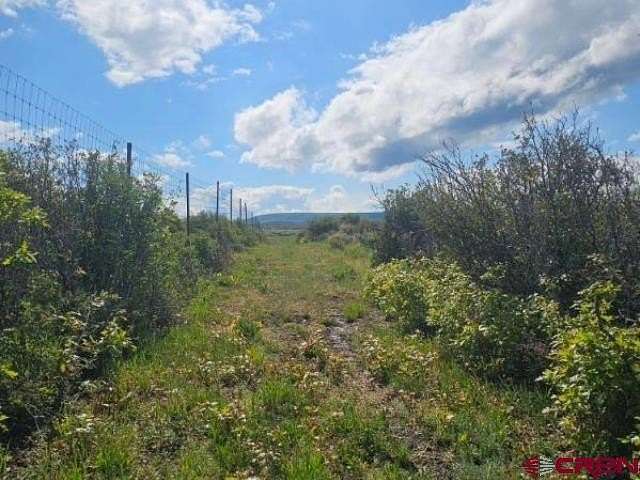 35 Acres of Land for Sale in Crawford, Colorado