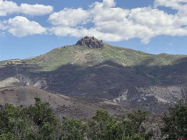 35 Acres of Land for Sale in Crawford, Colorado