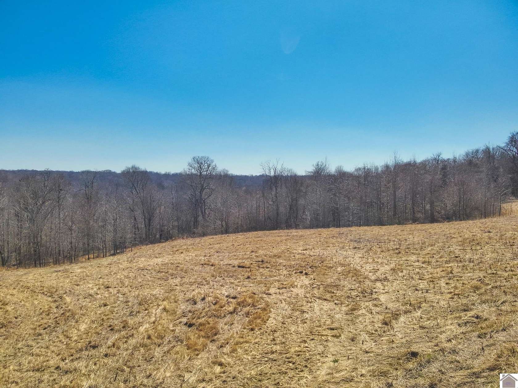 84.2 Acres of Recreational Land for Sale in Smithland, Kentucky