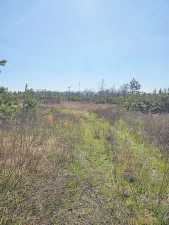 10.3 Acres of Land for Sale in Gary, Texas