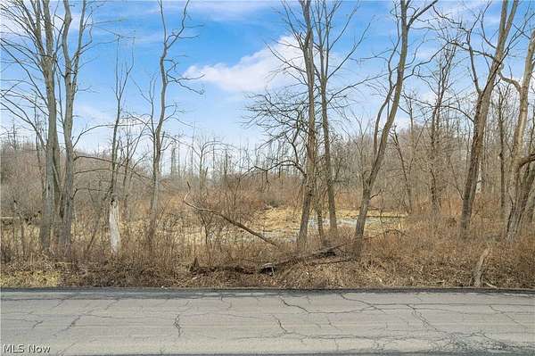 12.1 Acres of Land for Sale in Warren, Ohio