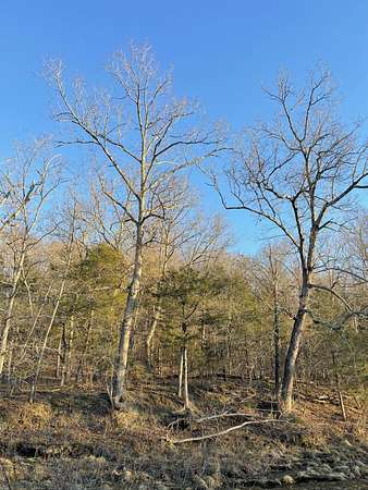 80 Acres of Recreational Land for Sale in Ava, Missouri