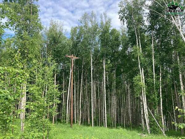 6.7 Acres of Land for Sale in Fairbanks, Alaska