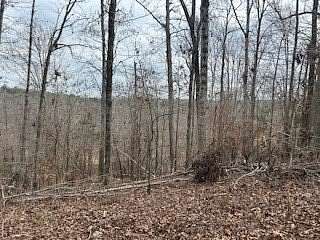 6.6 Acres of Residential Land for Sale in Hodges, South Carolina