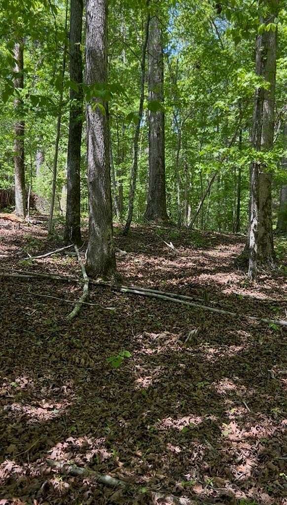 6.6 Acres of Residential Land for Sale in Hodges, South Carolina