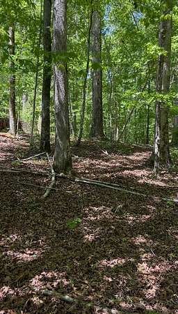 6.6 Acres of Residential Land for Sale in Hodges, South Carolina