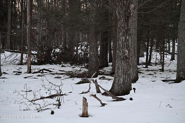 0.55 Acres of Residential Land for Sale in Henryville, Pennsylvania