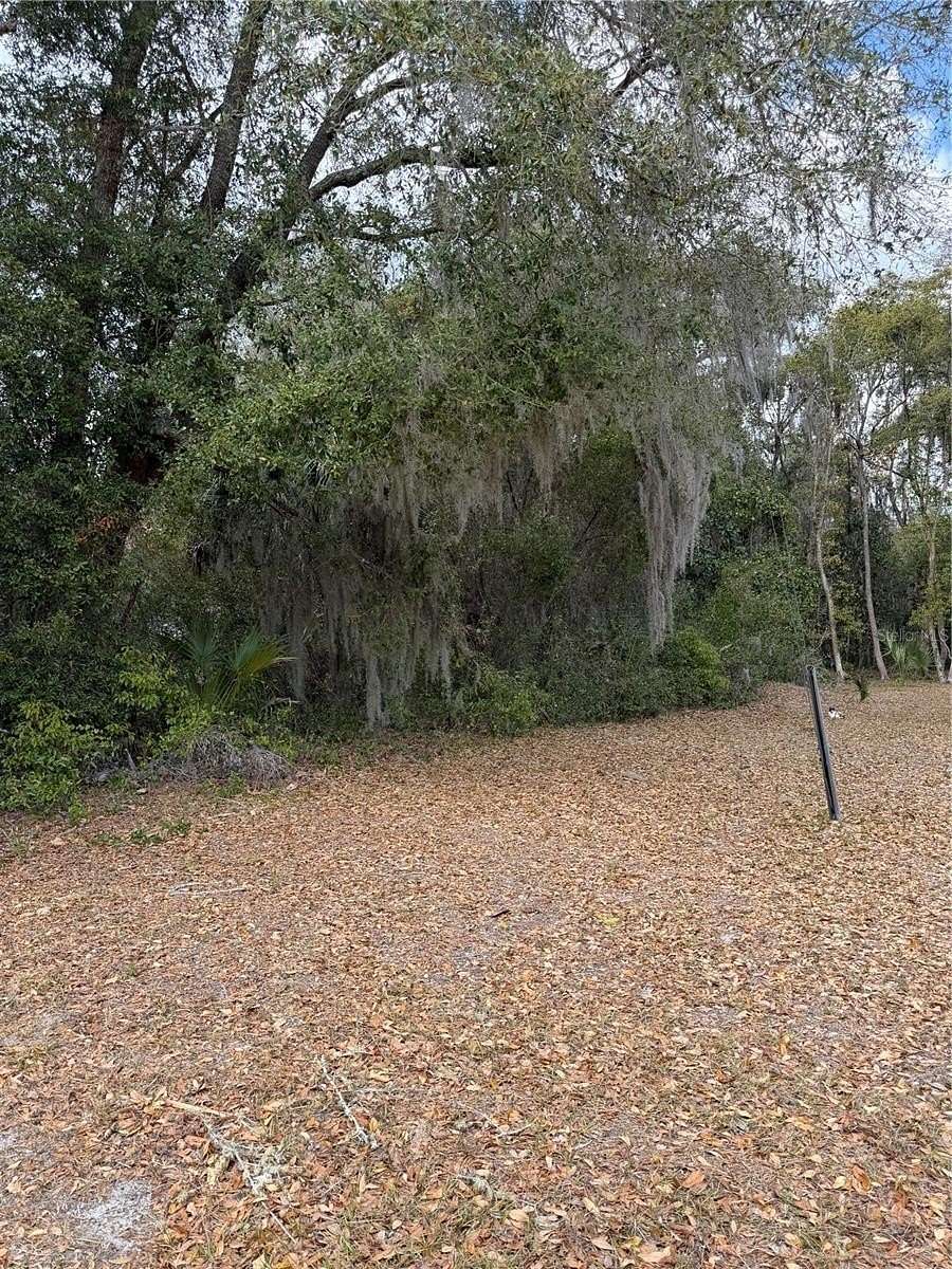 1 Acre of Residential Land for Sale in Hawthorne, Florida