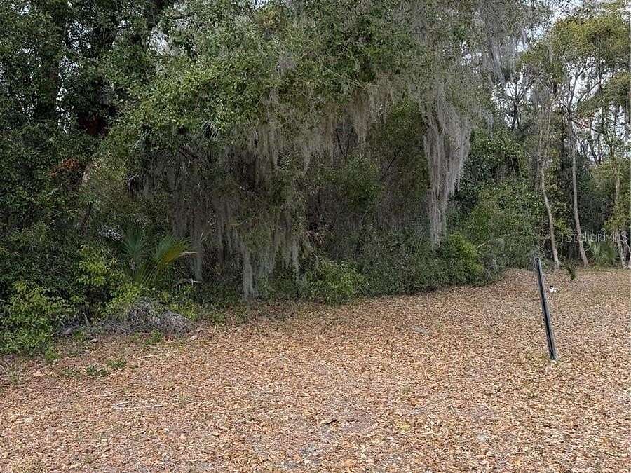 1 Acre of Residential Land for Sale in Hawthorne, Florida