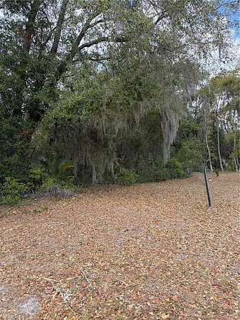 1 Acre of Residential Land for Sale in Hawthorne, Florida