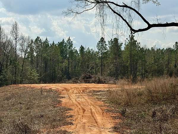 15.9 Acres of Land for Sale in Poplarville, Mississippi
