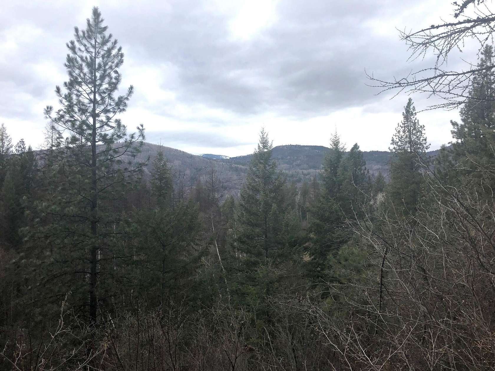 20.9 Acres of Recreational & Residential Land for Sale in Colville, Washington