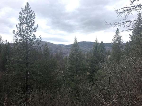 20.9 Acres of Recreational & Residential Land for Sale in Colville, Washington