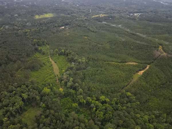 175 Acres of Recreational Land for Sale in Crosby, Mississippi